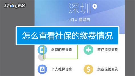上海社保缴费记录网上查询步骤-百度经验