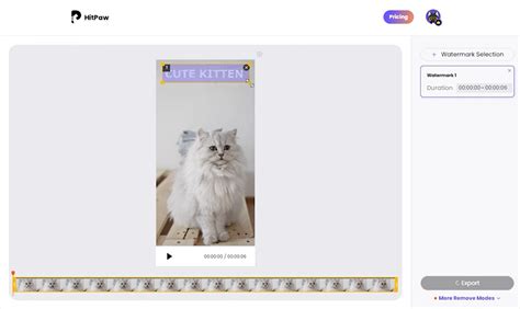 Supprimer le texte de la vidéo en ligne gratuitement | Supprimer les ...