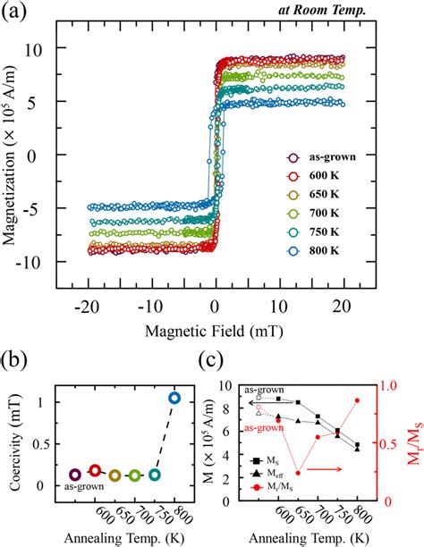 Magnetization 的图像结果