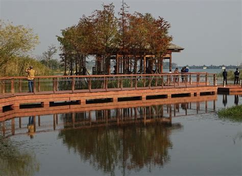 2023贡湖湾游玩攻略,绝对是个拍照圣地， 位于滨湖...【去哪儿攻略】