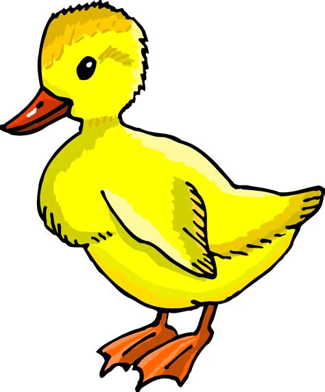 Image result for Duckling Cartoon Image