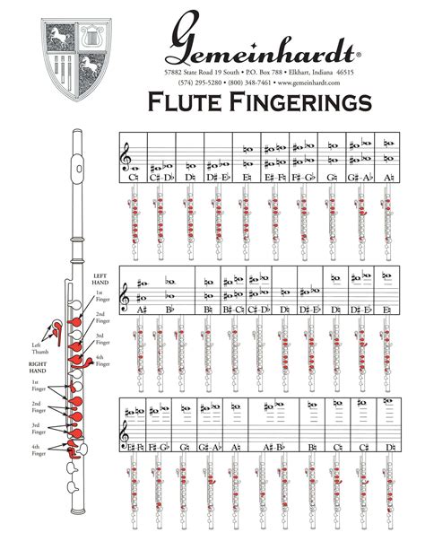 Free Printable Flute Fingering Charts [PDF] High Notes For Beginners