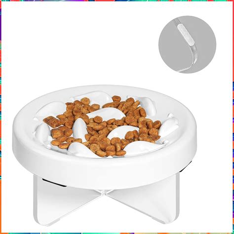 Raised Cat Slow Feeder at Tayla Mein blog