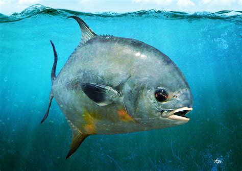 Image result for 3D Fish Craft