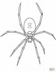 gratis malvorlagen spinnen 37 spinnennetz mit spinne malvorlage besten bilder gratis malvorlagen spinnen 37 spinnennetz mit spinne malvorlage besten bilder