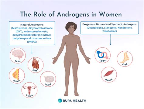 What Increases Androgens In Women