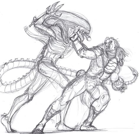 Image result for Alien vs Predator Sketches