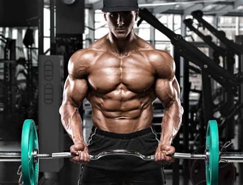 Image result for FST-7 Back