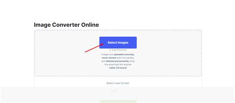 Web Format 的图像结果