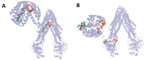 In Vitro Evaluation of the Interaction of Seven Biologically Active ...
