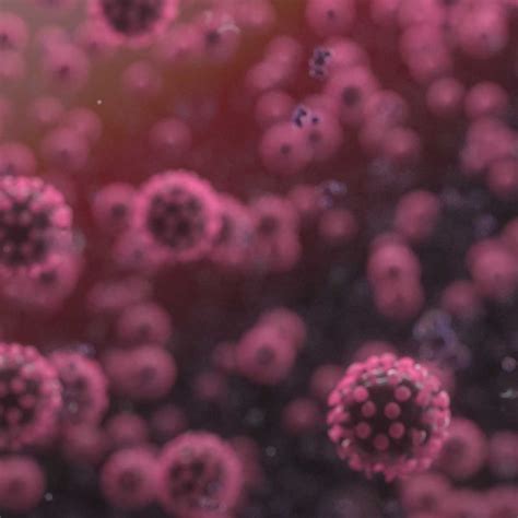 Coronavirus Research | J. Craig Venter Institute