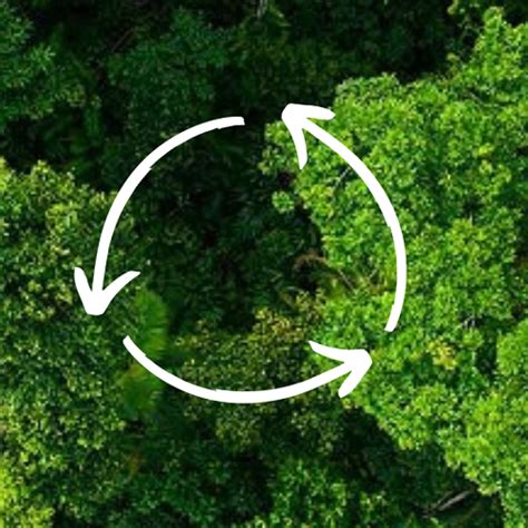 circular economy