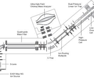 Image result for Orbitrap Schematic