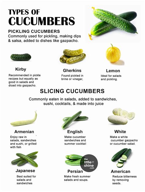 Types Of Cucumber Plants