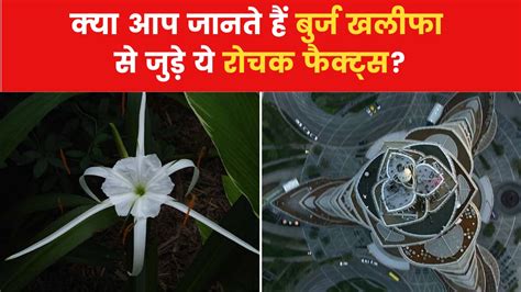 Burj Khalifa: 'स्‍पाइडर लिलि' फूल के डिज़ाइन पर बनी है 163 मंजिला ऊंची ...