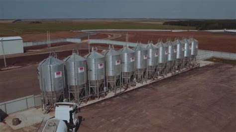 Image result for Loading Pigs for Processing