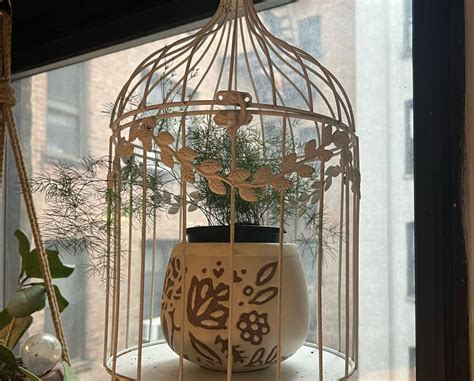 Image result for Using Ming Fern to Replicate Tree Trees