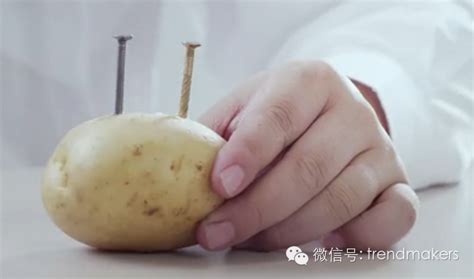 《自然》杂志喊话中国人多吃土豆，只能说它把吃土豆想的太简单_澎湃号·政务_澎湃新闻-The Paper
