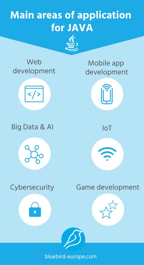 Image result for Java Programming Application