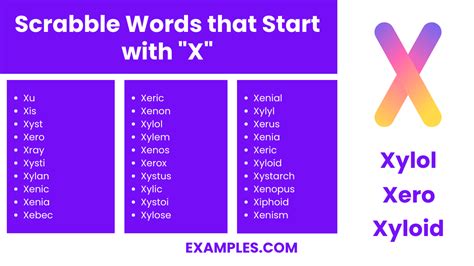 450+ Words Starting with X List, Meaning, PDF