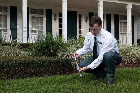 Pest Control in Monticello - Massey Services