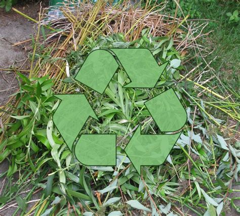 Image result for Garden Waste Collection