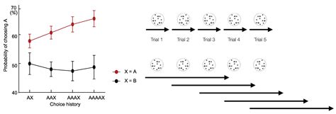 Multiscale Computation and Dynamic Attention in Biological and ...