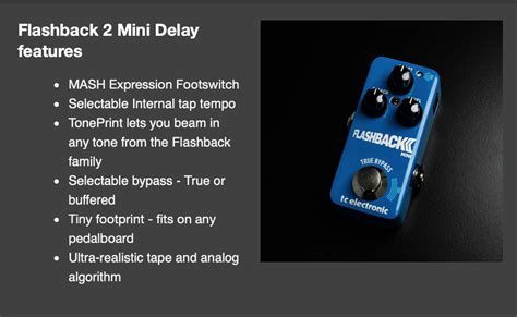 Image result for TC Electronics Flashback Mini II