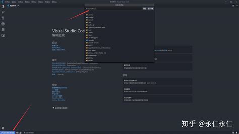 Code Remote SSH 的图像结果