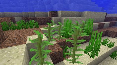 Image result for Minecraft Java Kelp