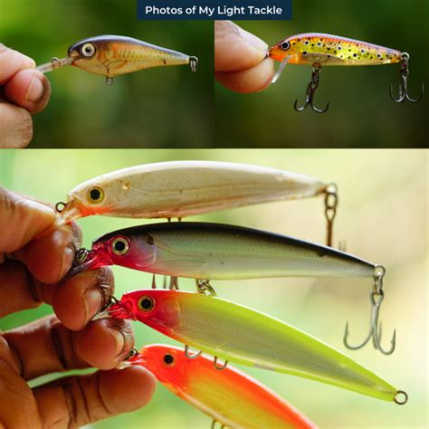 Light tackle fishing for Indian Anglers – Cabral Outdoors