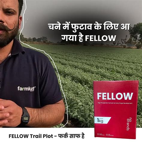 Fellow High Phosphorus Formula with Micronutrients , 1 kg – Farmkart