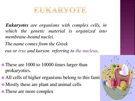 Image result for Biochemical Engineering Examples