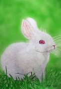 Image result for Realistic Easter Bunny Drawing