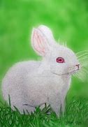 Image result for Blue Bunny Drawing