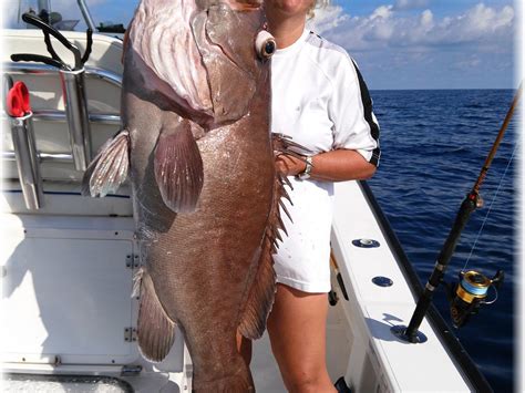 FLYING FISH CHARTERS (2025) All You Need to Know BEFORE You Go (with ...