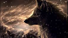 Cool Wolf Wallpapers by Cool Wolf Backgrounds 183 Wallpapertag Cool Wolf Wallpapers