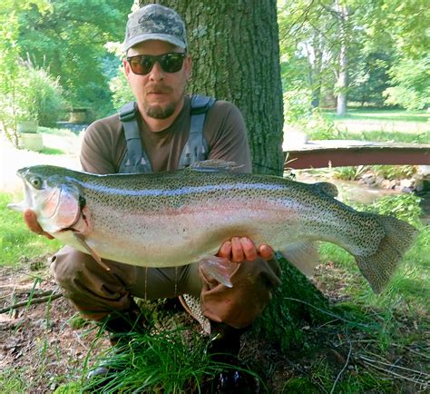 10 Giant Rainbow Trout Record Catches You Won't Believe