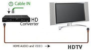 Image result for Cable Leg Extensions Exercise