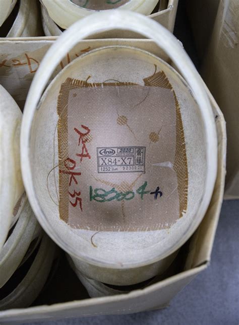 Image result for Shell Inside