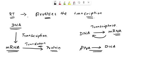 Image result for How Does Reverse Transcriptase Work