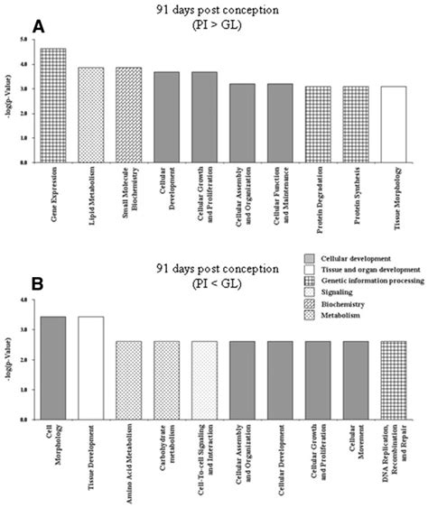 P-Value in Bioinformatics 的图像结果