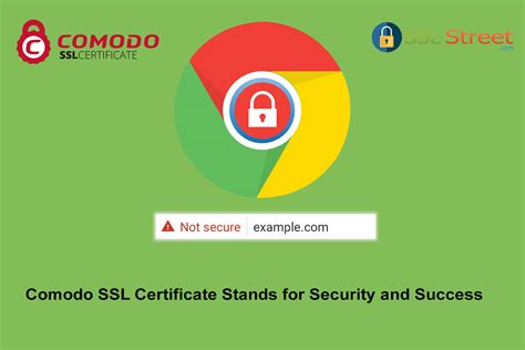 Image result for Comodo SSL Store