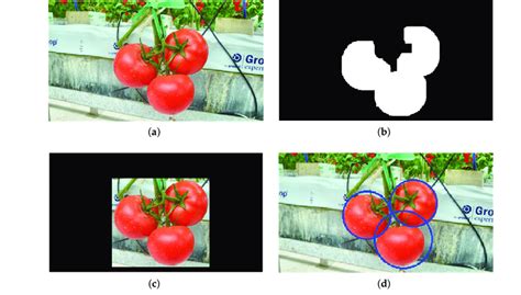 Scan Method in Operating System 的图像结果