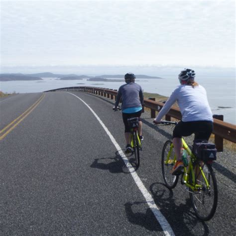 MEAT MACHINE CYCLES (Updated 2026) All You Need to Know BEFORE You Go ...