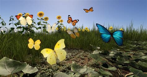 Butterfly Polygon Unity in Unity 的图像结果