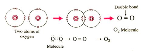 Image result for O2 Structural Formula