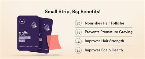 Buy Wellbeing Nutrition Melts Healthy Hair | Pure Biotin 10,000mcg ...