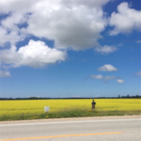 WATERVIEW BEACH RESORT (Cebu Island) - Hotel Reviews & Photos - Tripadvisor