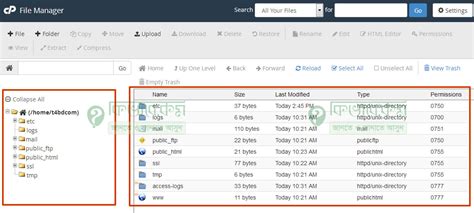 cPanel File Manager 的图像结果